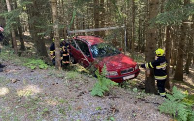 Fahrzeugbergung in Oberwald