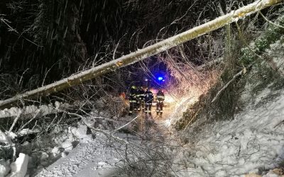 Fast 9 Stunden durchgehend aufgrund des Schnees im Einsatz – Baumbergungen und LKW Bergungen