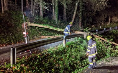 Baumbergung in Unterwald