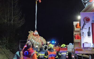 Tierrettung auf der A2